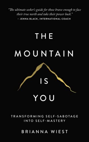 The Mountain Is You PDF
